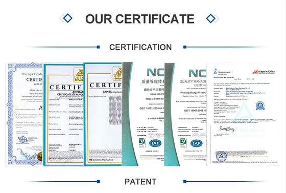 Extrusion Blow Molding Pallet Blow Molding Machine Electric Power Source MOOG 200point Parison Control for Production
